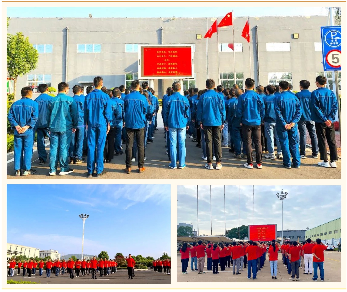 �ڲ�tengbo9885����-�������