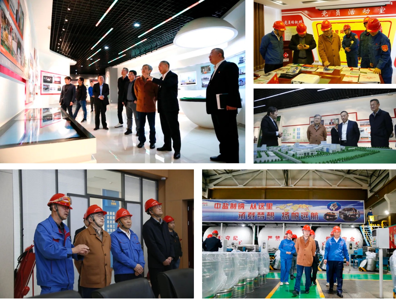 ÌÚ²©tengbo9885¹ÙÍø-¹ÙÍøÈë¿Ú